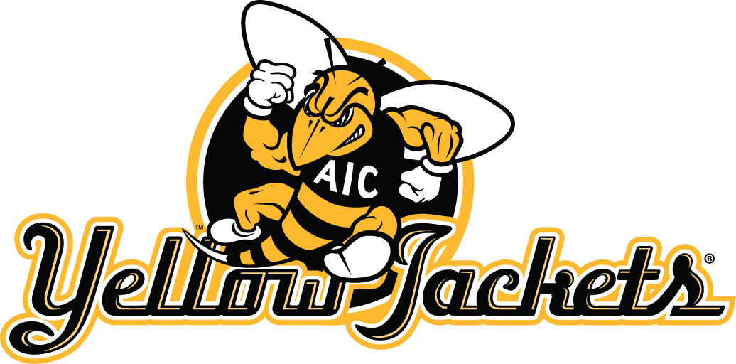 aic yellow jackets 2009-pres alternate logo v4 iron on transfers for T-shirts